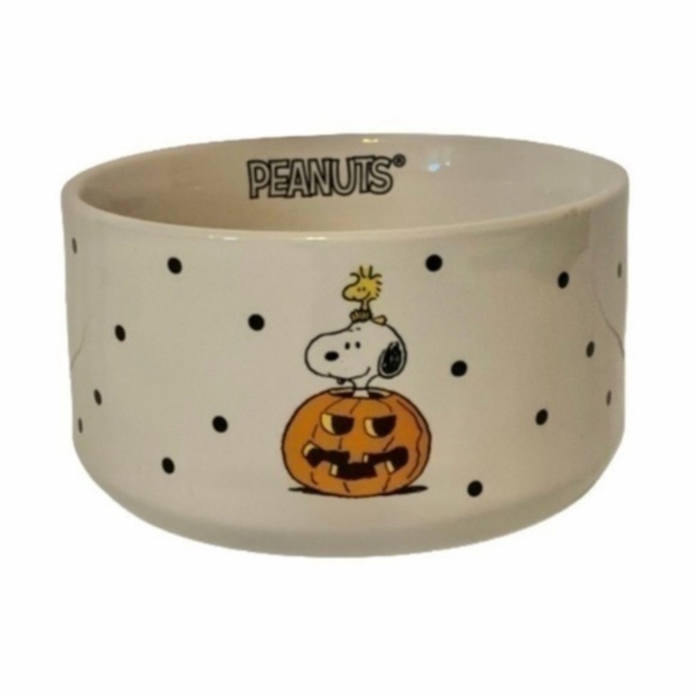 NWT. RAE DUNN X PEANUTS Halloween Dog Bowl with Snoopy and Woodstock